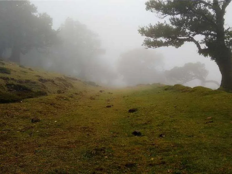 설운동변기역류