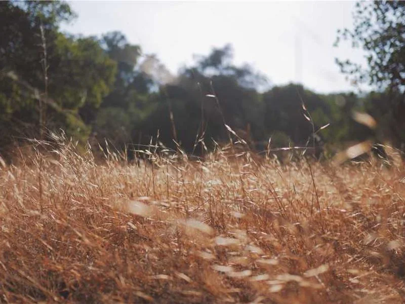 소흘읍고압세척