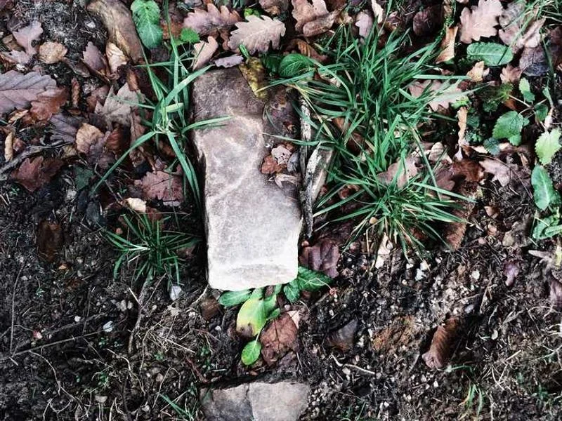 포천시변기역류