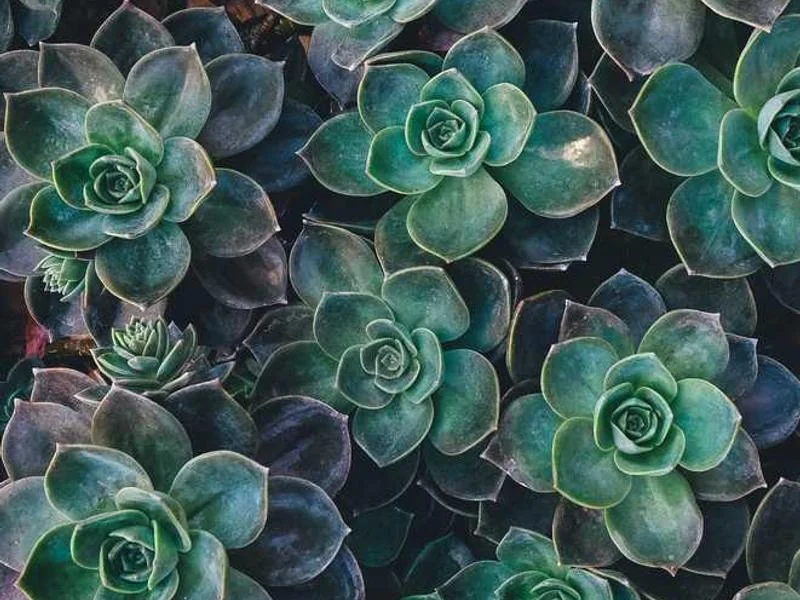 포천시변기역류