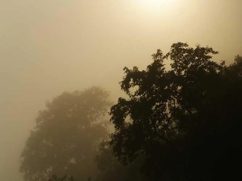 포천시변기역류