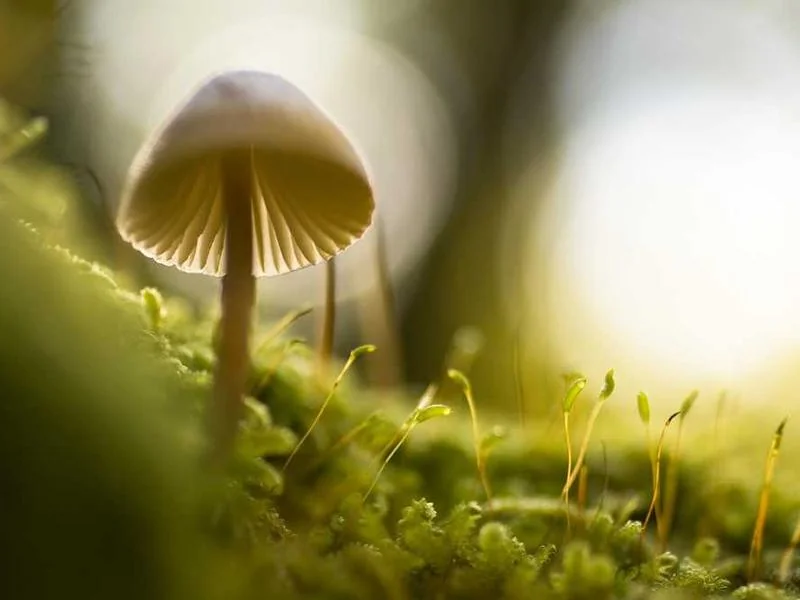 포천시오수관막힘,