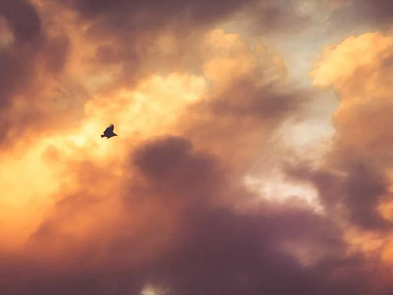 포천시하수구고압세척,