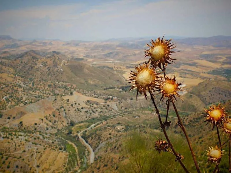 포천시하수구뚫음,