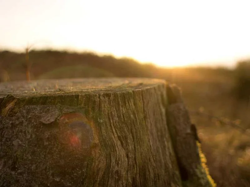 싱크대배관청소