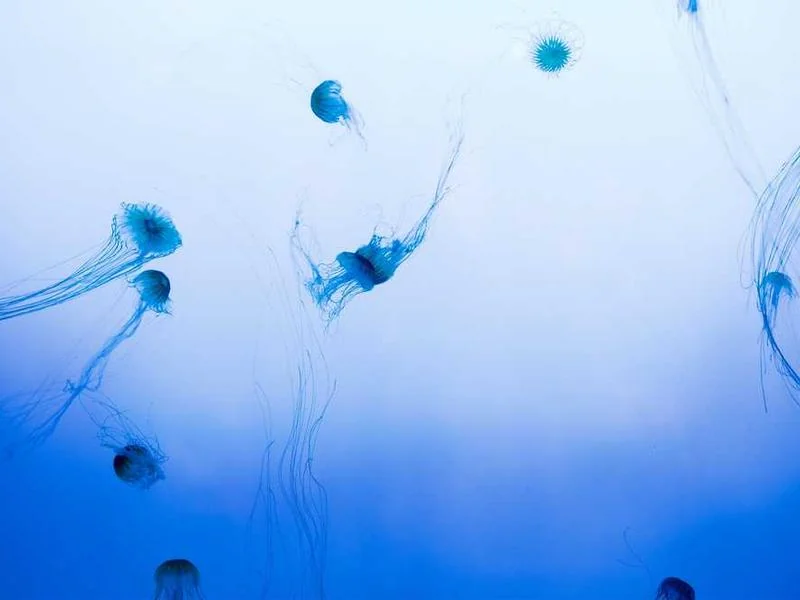 싱크대배관청소