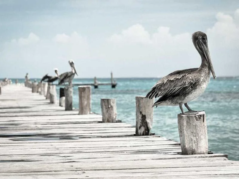우수관고압세척