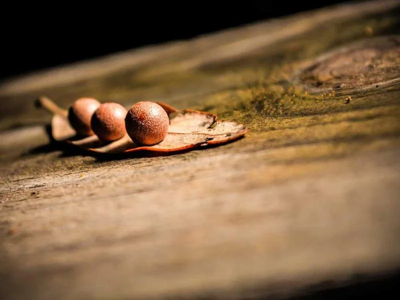 정화조뚫는업체