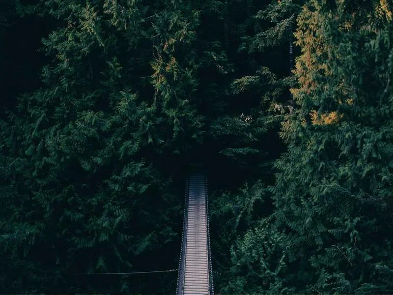 정화조뚫는업체