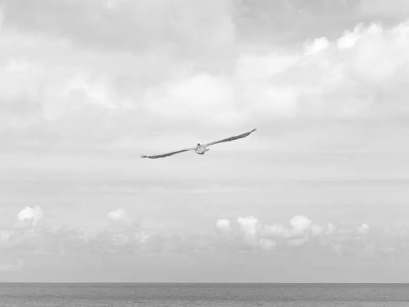 정화조뚫는업체