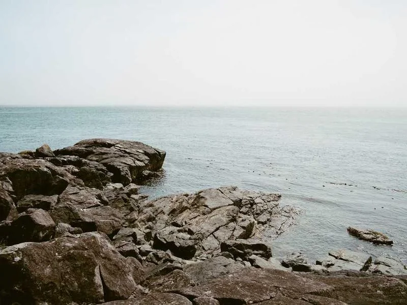 정화조뚫는업체