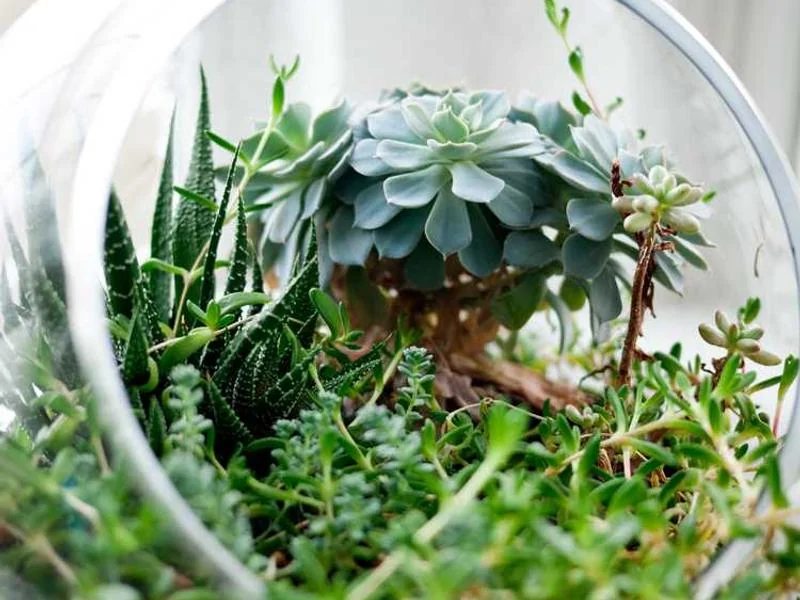 하수구고압세척