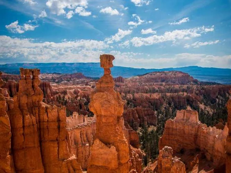 하수구고압세척