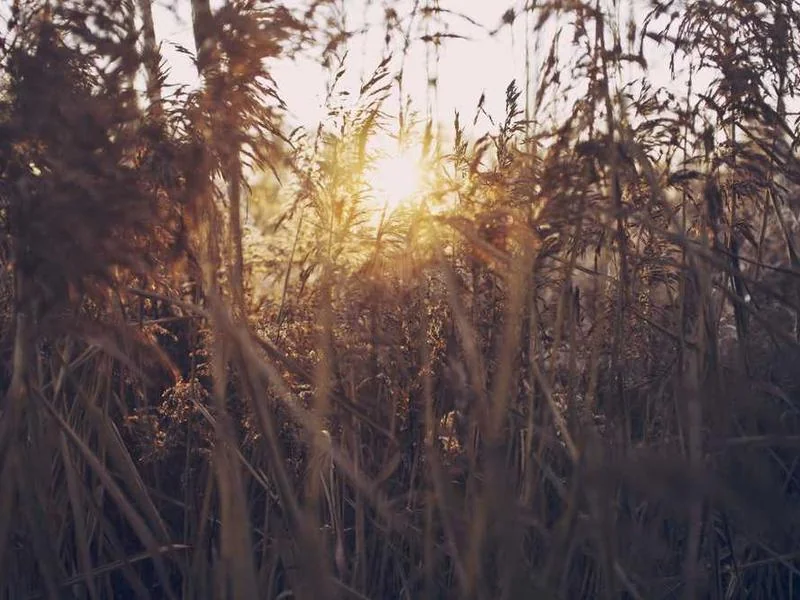 하수구뚫는업체