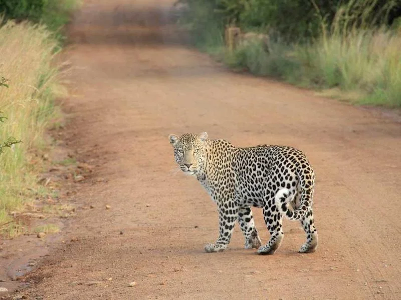 하수구뚫는업체