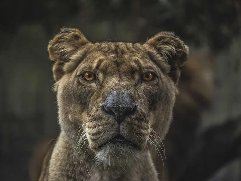 하수구배관청소