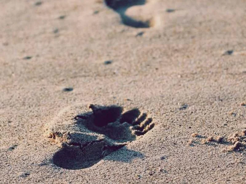 하수구배관청소